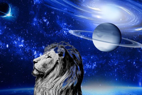 狮子座2023年感情归宿：星象与心明白析