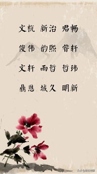 探寻独特与冷门：齐姓女孩名字推荐