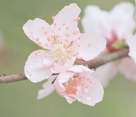 三、具体风水布局策略