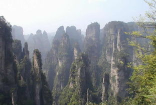 袁家界：被过度包装的旅游陷阱？