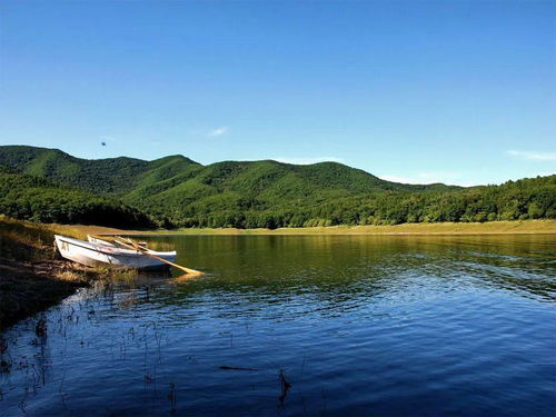 2026年天气预警+生肖禁忌