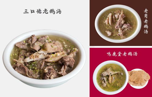 河南老鹅：旅游的新鲜血液