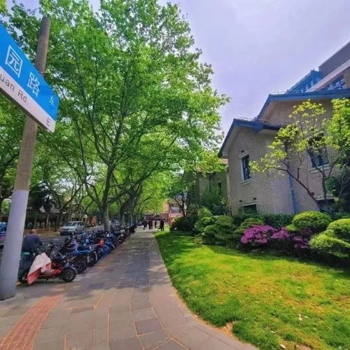 景点介绍：一堆被强行包装成“艺术”的垃圾堆砌