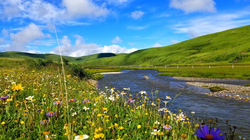 第二天：红原月亮湾与达古冰川——冰雪奇缘+意外掉进温泉（不）