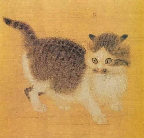 猫咪控在哪里？