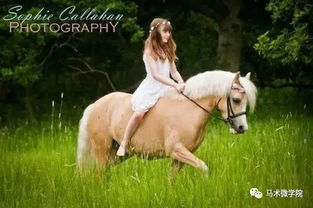 马儿奔腾到老，爱情还能剩下几根毛？