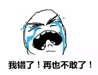 猪猪乐园：憨厚老实的特色表达