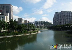 临川：少年才子的风水密码