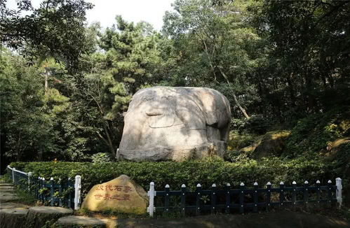 孔望山：历史教育的生动课堂，孩子比大人爱听