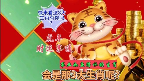 较深入解析三個生肖的財運優勢