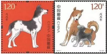 戊戌狗年进入食伤旺地