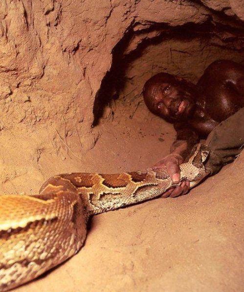 2026年属蛇男性财运如何，具体表现怎样？