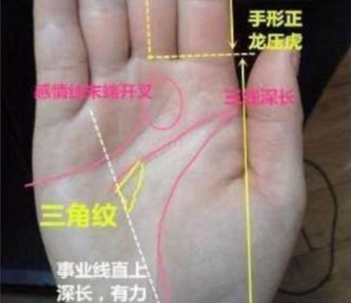 1.1 手纹形态的象征意义