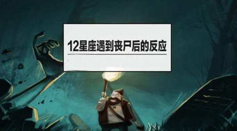 文化底蕴与心明白析：从生肖、 星座到风水的视角