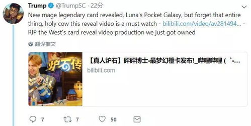 历史持续发展与现实的交织