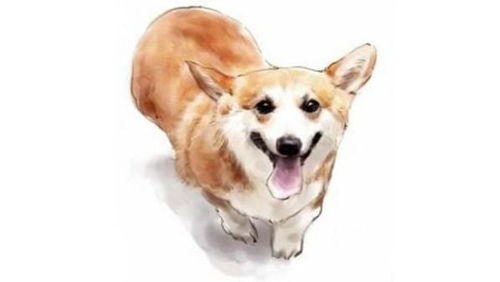 事业搭档大揭秘！这些生肖组合简直是灾难现场