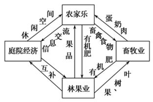 六壬的持续发展历程