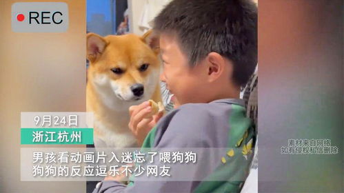 一、 先说点儿“玄学”，别太当真