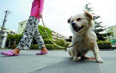 老祖宗说这玩意儿能发财？