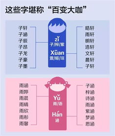 四、文化底蕴：传承中华文明
