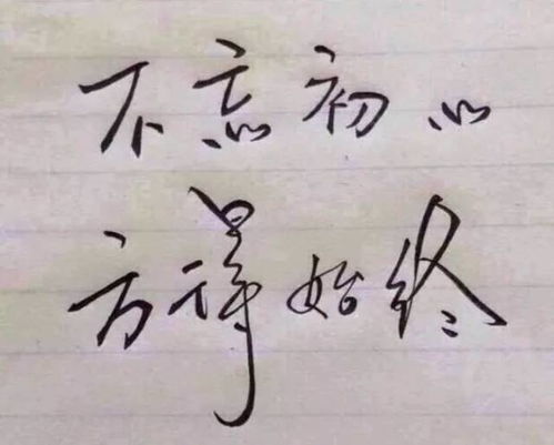 三、 解惑之策：理性应对与自我疗愈