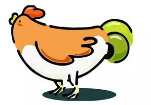 用鸡起名的菜名改写为：鸡宝宝起名时，有哪些菜名不宜作为名字使用？