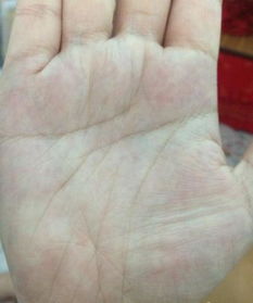 美女和老人谈手相，可以给妹子看手相图片吗？