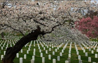 1. 牵牛水的危害：财富积累受阻