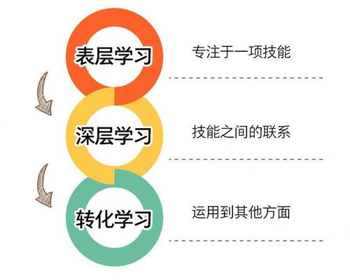 社会发展中的动态平衡