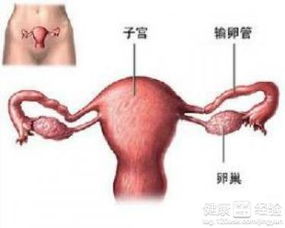 术后歇息与活动：找到平衡点