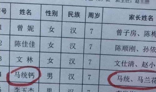 简洁简单记的名字特点