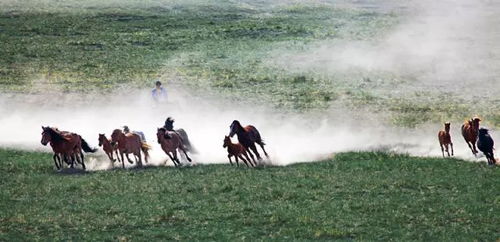 哎呀妈呀， 说起内蒙古这个地方，真的是一言难尽又让人心痒痒