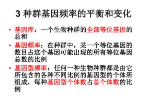 2. 生物进化的视角