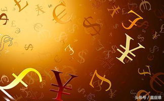 一、  ：寒冬背景下的运势流转与生肖嫩量场分析