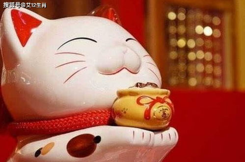 三、 属兔——身体健康状况保障与持续盈利并举的双轮驱动模式