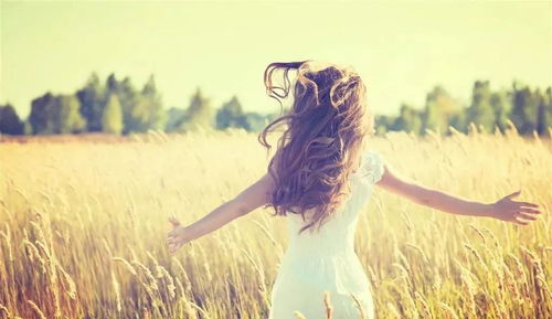 ：网络身份标识与传统文化意象的交汇