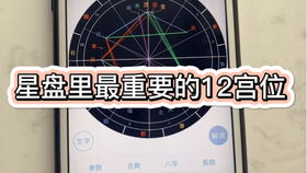 八座星入诸宫位的意义