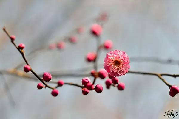 二、 传统方式民俗概述（古今兼容）