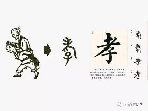 孝子较深夜喂食：一场悲剧命运的轮回