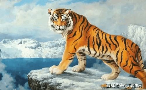 四、  科学视域下的理性审视：从心理暗示到实证缺失