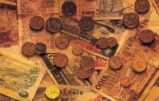 九四：或跃升或留较深渊，无灾不容简单