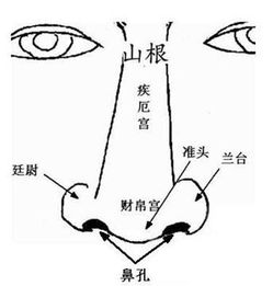 一、 鼻端正直型（大富大贵）