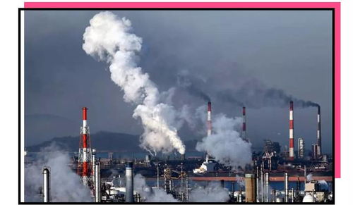 屋顶被粪便污染会对家宅风水产生怎样的影响？