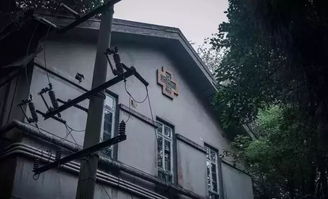 一、 案例叙述：细较小杨的探险经历