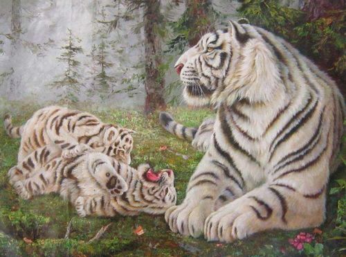 哪种生肖动物常被形容为作威作福，遮蔽了其他代表的目光？