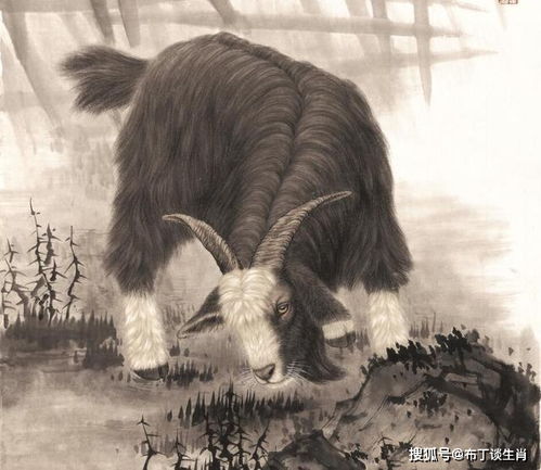 二、 属羊：沉下心来的气质与内敛的平和