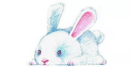 1999年属兔的人2026年运势如何？