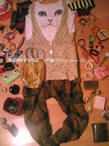 5. 辰龙：孤傲与超凡的象征重构