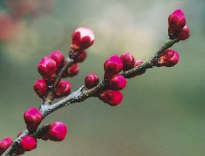 方位选择与五行相生相克