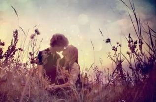 下等婚姻：气场冲突与情感消耗的衰败之象